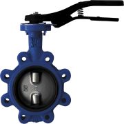 Затвор дисковый Giacomini поворотный с проушинами DN65, R59FLY006