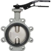 Затвор дисковый Giacomini поворотный с проушинами DN150, R59FLX015