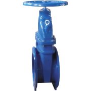 Задвижка Giacomini с фланцевым соединением DN50, R55FLY005