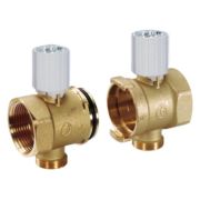 Элемент модульного коллектора Giacomini кр., с терм. клапаном 1quot; x 3/4quot;E x DN32 (2), R53VTY106