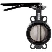 Затвор дисковый поворотный РИДАН ЗДМ 05.16.40 PN16 DN40 корпус GG25, диск - нержавеющая сталь AISI31